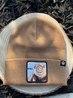 Hear Me Roar - Camel