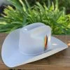 Stetson 6x Rancher Mist Grey Cowboy Felt Hat (Copa Alta Falda/Brim 4") -Guadalajara Western Wear IMG 1384