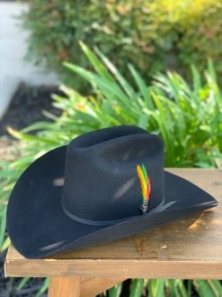 Stetson 6x Rancher Black Cowboy Felt Hat (Copa Alta Falda/Brim 4")