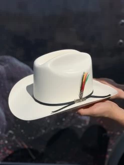 500X Johnson Copa Alta 4 3/4" Falda Corta 3" Sinaloa Shape Straw Hat -Guadalajara Western Wear IMG 1505