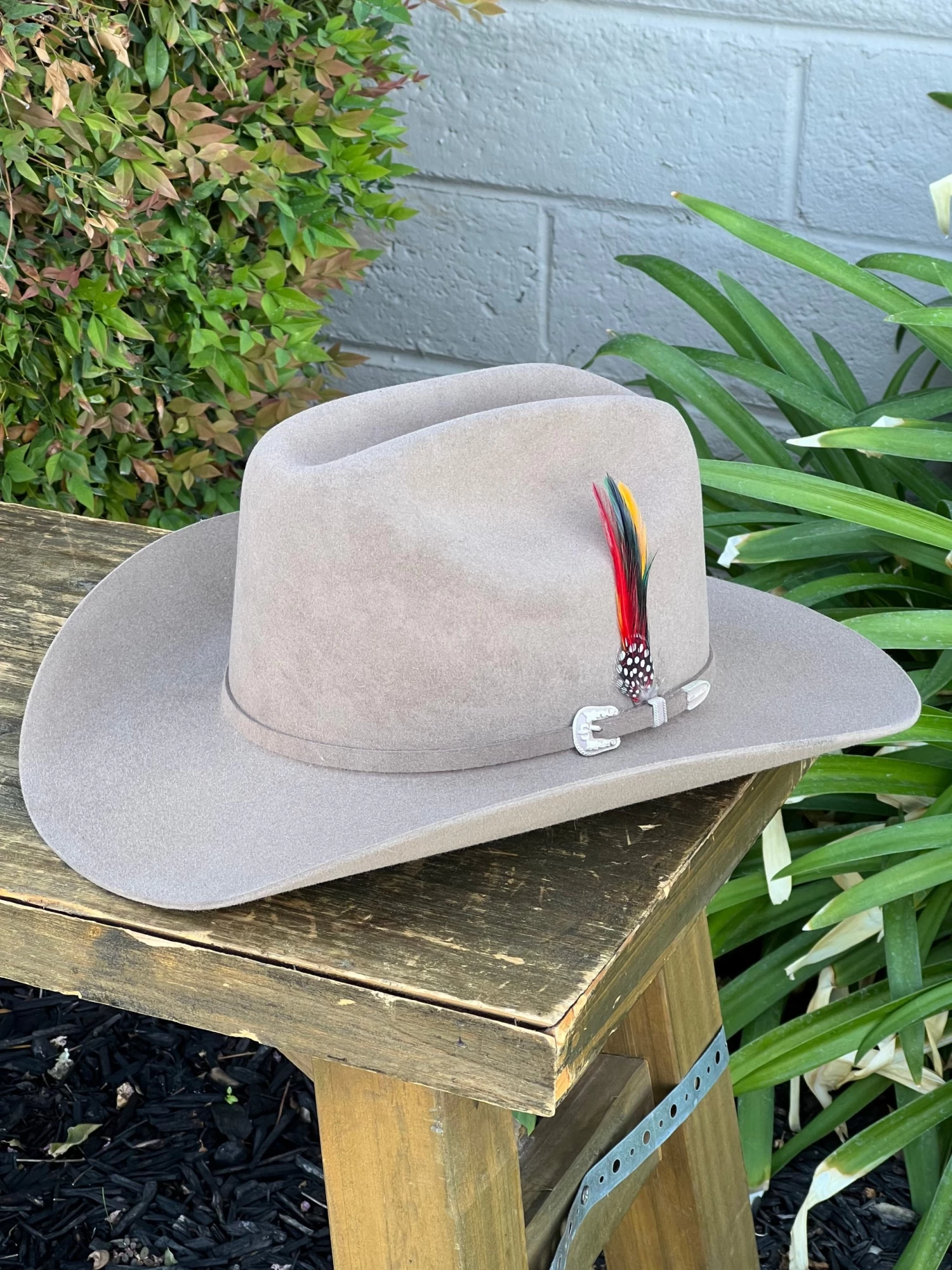 Stetson 6x Skyline Sahara (Copa Chica Falda/Brim 3.5") 3 Stetson 6x Skyline Sahara (Copa Chica Falda/Brim 3.5")