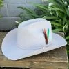 Stetson 6x Silverbelly (Copa Chica Falda/Brim 3.5") -Guadalajara Western Wear IMG 1711