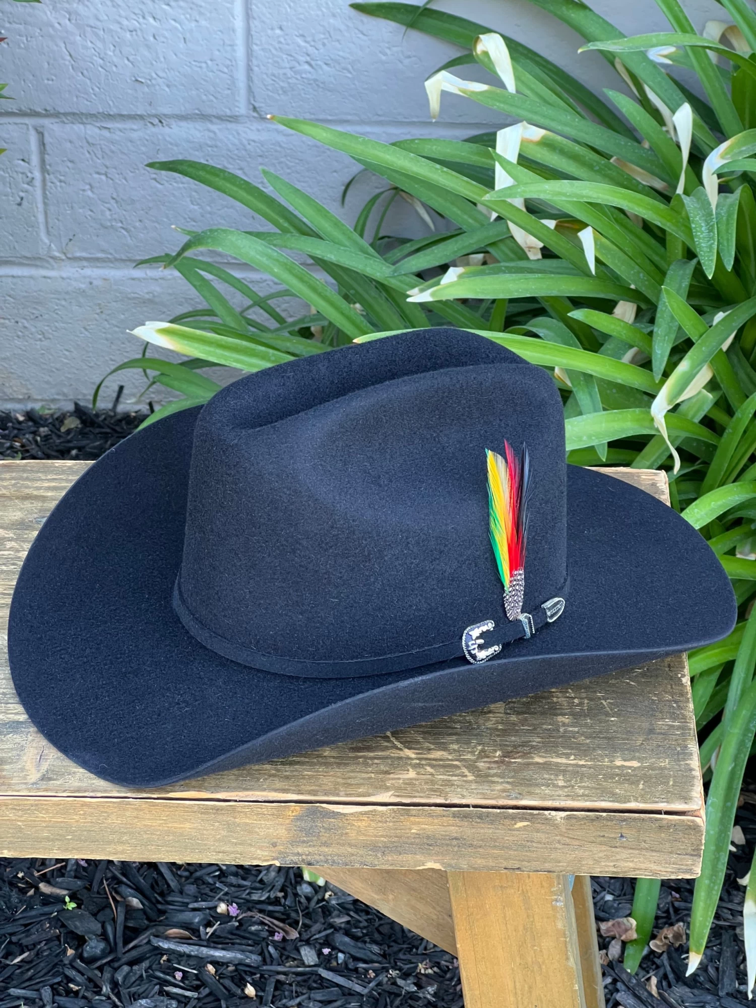 Stetson 6x Skyline Negro (Copa Chica Falda/Brim 3.5") 3 Stetson 6x Skyline Negro (Copa Chica Falda/Brim 3.5")