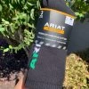 Ariat Work Mexico Unisex Socks -Guadalajara Western Wear IMG 1798