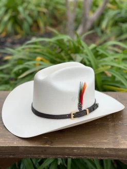 Tombstone 1000x Johnson (Copa Chica) Toquilla Caiman Cafe Obscuro -Guadalajara Western Wear IMG 2248