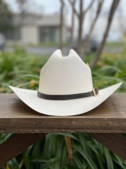 Tombstone 1000x Johnson (Copa Chica) Toquilla Caiman Cafe Obscuro -Guadalajara Western Wear IMG 2249