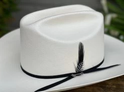 Stetson 100x Rancher Straw Hat Horma Sinaloa (Copa Alta Falda/Brim 4") -Guadalajara Western Wear IMG 2272