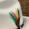 Original Stetson Feather (Pack Of 2)