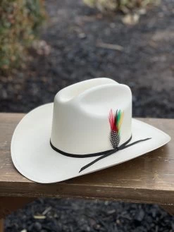 Cuernos Chuecos 100x Johnson (Sinaloa Style) -Guadalajara Western Wear IMG 2816