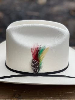 Cuernos Chuecos 100x Johnson (Sinaloa Style) -Guadalajara Western Wear IMG 2819