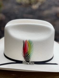 Cuernos Chuecos 100x Durango (Copa Alta) -Guadalajara Western Wear IMG 2822