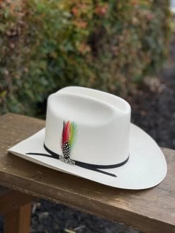 Cuernos Chuecos 100x Durango (Copa Alta) -Guadalajara Western Wear IMG 2823