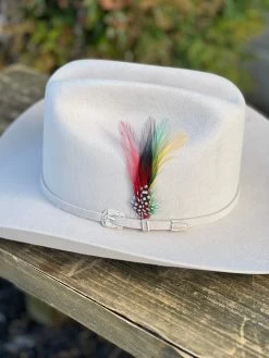 Stetson 6x Skyline Silverbelly (Copa Chica Falda 4") -Guadalajara Western Wear IMG 3062