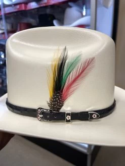 500X Johnson Copa Alta 4 3/4" Falda Corta 3" Toquilla Avestruz Negro 9 500X Johnson Copa Alta 4 3/4" Falda Corta 3" Toquilla Avestruz Negro -Guadalajara Western Wear IMG 4401