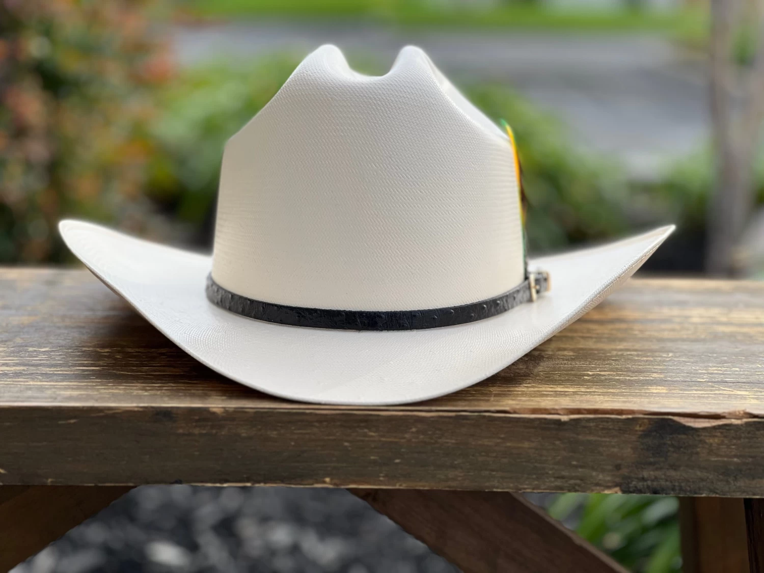 5000X Alegres Del Barranco Copa Chica 4.5" Falda 3.5" Horma Sinaloa (Toquilla Avestruz Negra) 4 5000X Alegres Del Barranco Copa Chica 4.5" Falda 3.5" Horma Sinaloa (Toquilla Avestruz Negra) - Image 2