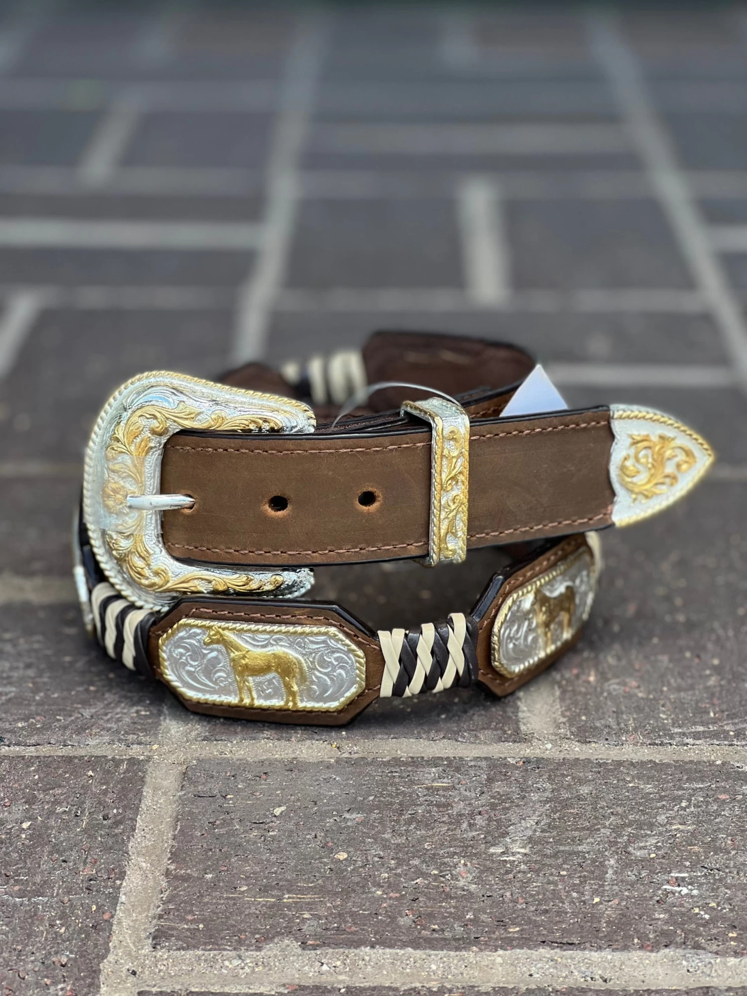 Potro Crazy Miel Cinto - Miel / Plata / Dorado 3 Potro Crazy Miel Cinto - Miel / Plata / Dorado