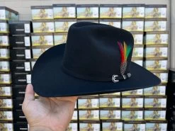 Stetson 6x Skyline Negro Horma Sinaloa (Copa Chica Falda/Brim 3.5")