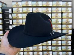 Stetson 6x Skyline Negro Horma Sinaloa (Copa Chica Falda/Brim 3.5") -Guadalajara Western Wear IMG 6816