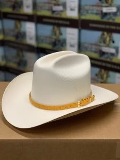 Tombstone 1000x Johnson (Copa Chica) Toquilla Avestruz Mantequilla -Guadalajara Western Wear IMG 7166 6bfab81a 17e3 45c5 b9a4 ad7a685958a1