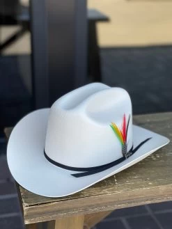 Tombstone 100x Chaparral (Copa Chica Falda Chica) -Guadalajara Western Wear IMG 7536