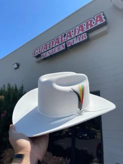 Stetson 6x Spartan Premium White Cowboy Felt Hat Sinaloa (Copa Chica Falda/Brim 3.5") -Guadalajara Western Wear IMG 9555